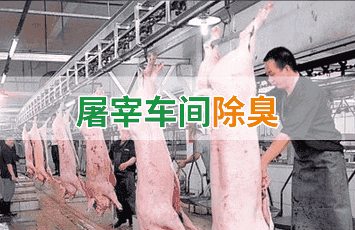 潔匠凈化·的凈工業(yè)除臭劑_屠宰場(chǎng)臭氣影響周邊環(huán)境？解決辦法在這里-1