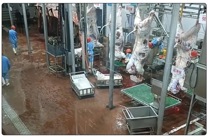 屠宰工廠惡臭影響周邊，使用除臭劑有什么注意要點(diǎn)？