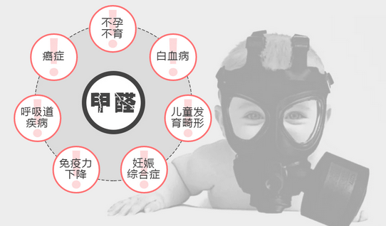 常見(jiàn)的“除甲醛”方法有哪些呢？有什么優(yōu)缺點(diǎn)？