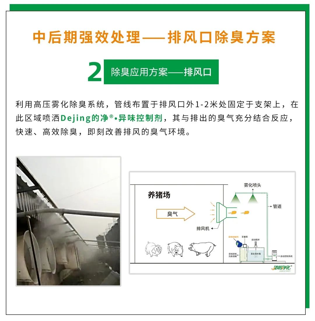 Dejing的凈養(yǎng)殖場除臭劑如何迅速清理養(yǎng)殖場臭味？.jpg
