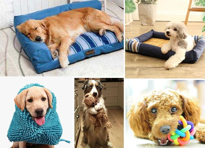 寵物氣味彌漫整個(gè)屋子，潔匠凈化教您如何除味