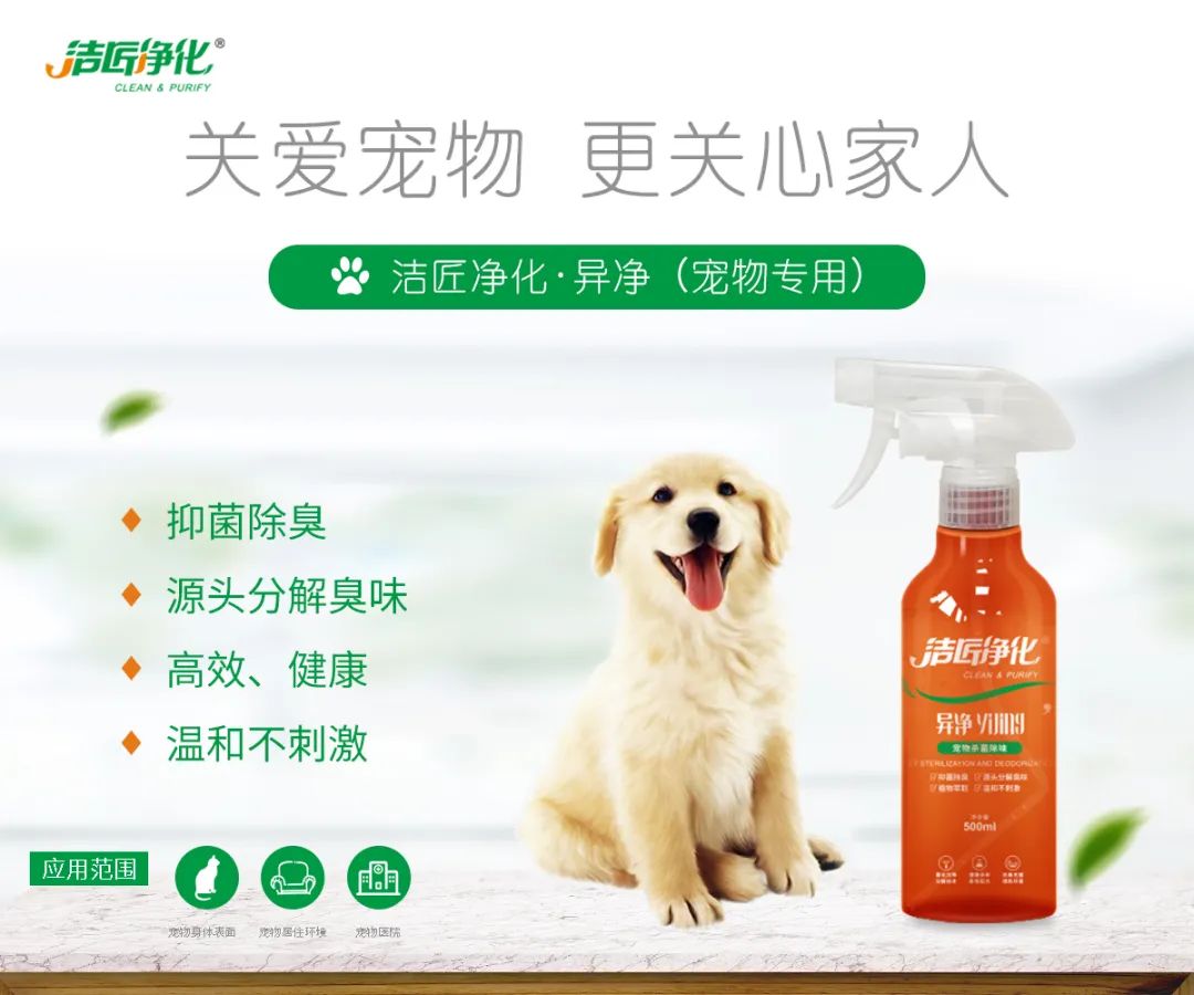 寵物氣味彌漫整個屋子，潔匠凈化教您如何除味